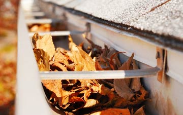 Ansdell gutter cleaning companies