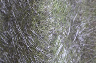 Ansdell fibreglass roof work